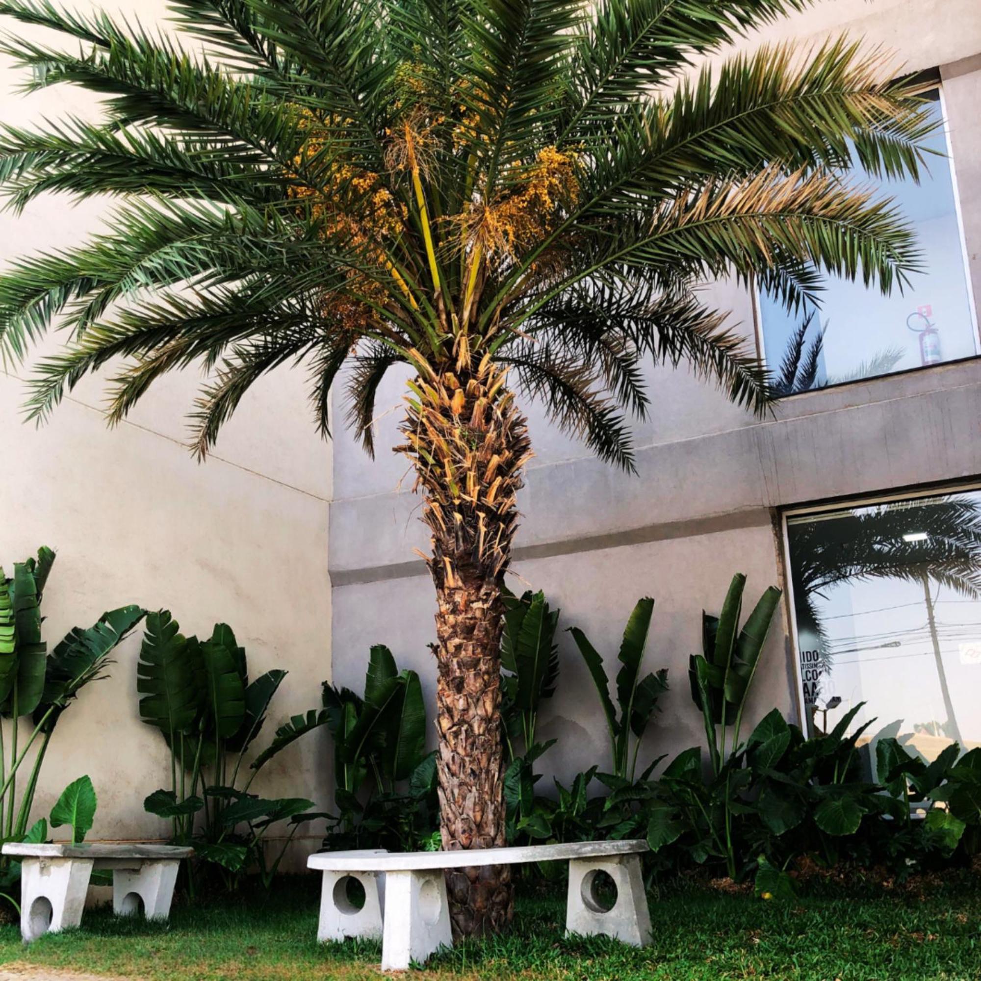 Sleep Inn Paulinia Exterior photo